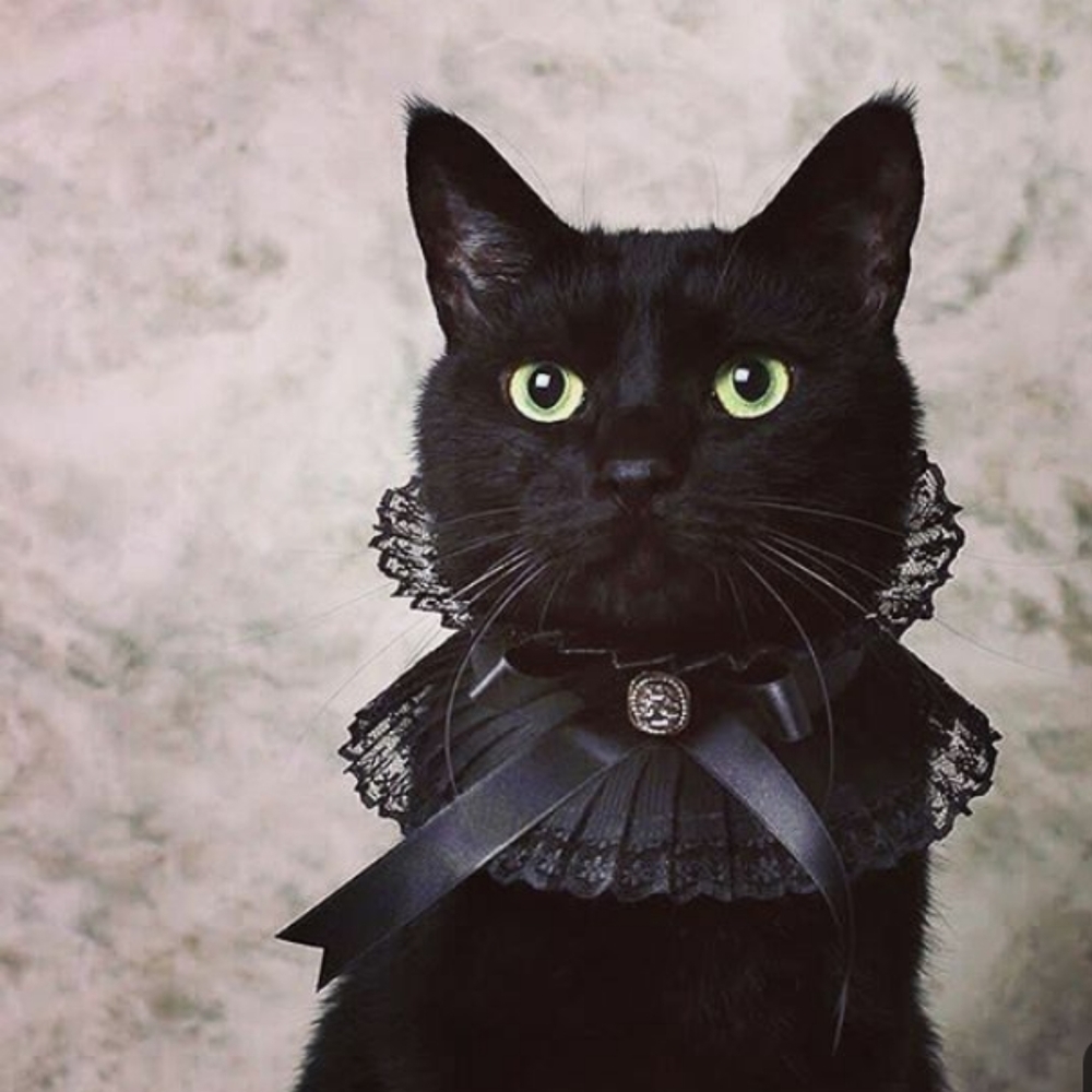 Shop my closet. New + lightly used items!!